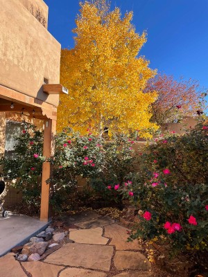 Patio in Autumn