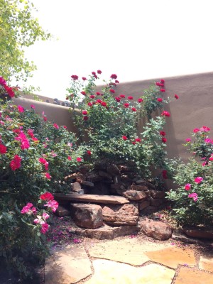 Patio with Water Feature