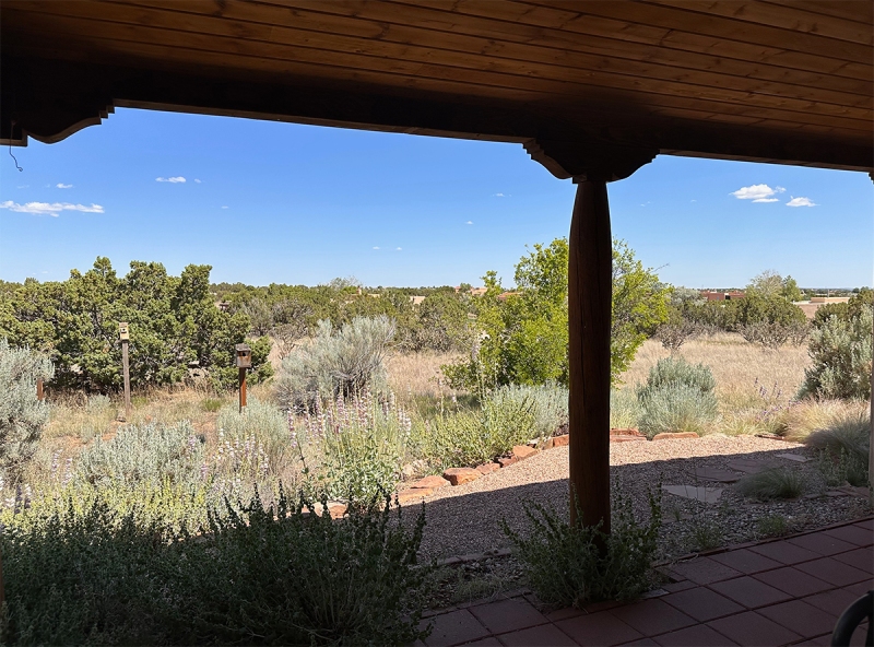 patio_1022
