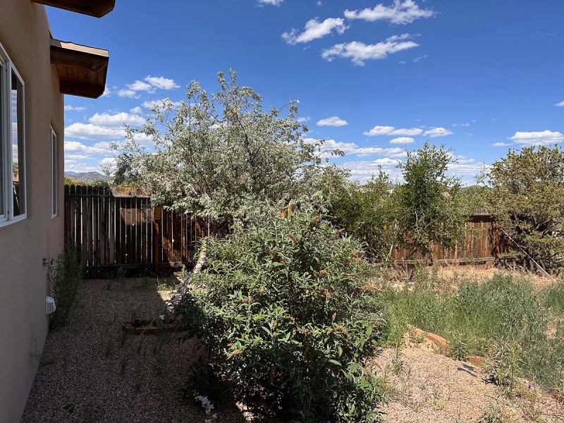 yard_0941