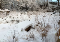 26_yard_winter