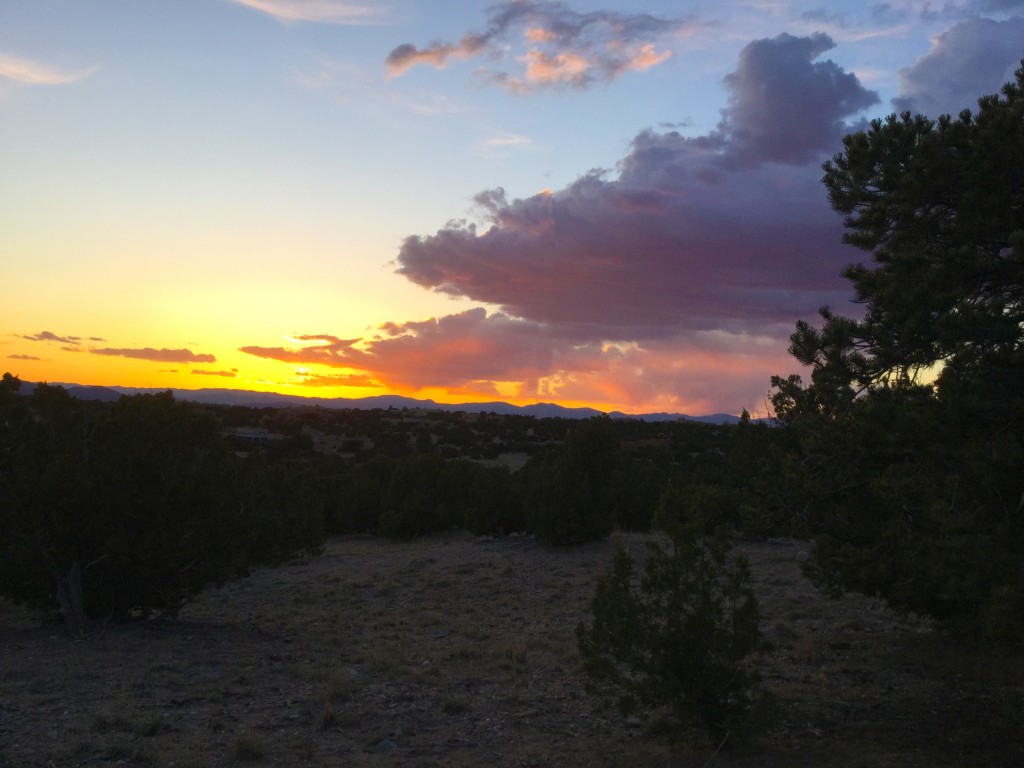 view
