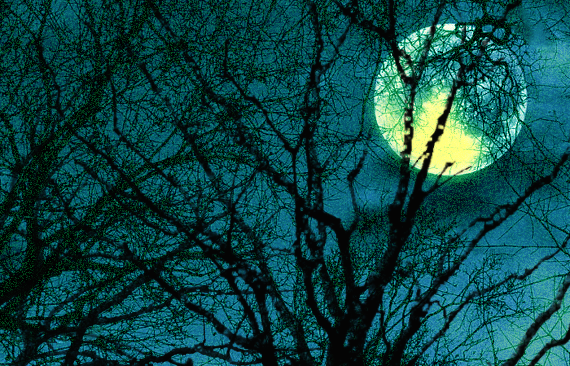 full_moon_alt cropped