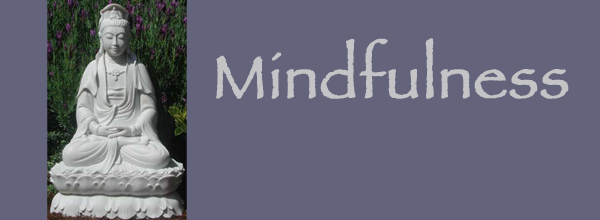Eco Lifestyle And Home Newsletter August 2015 Mindfulness