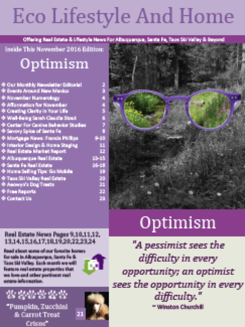cover-eco-lifestyle-home-news_11-2016-optimism