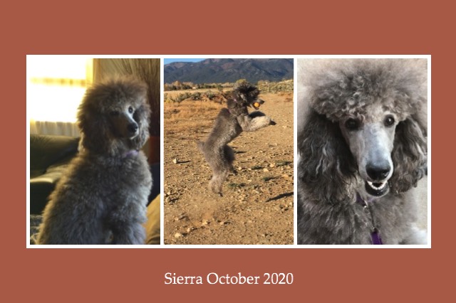 Sierra october 2020