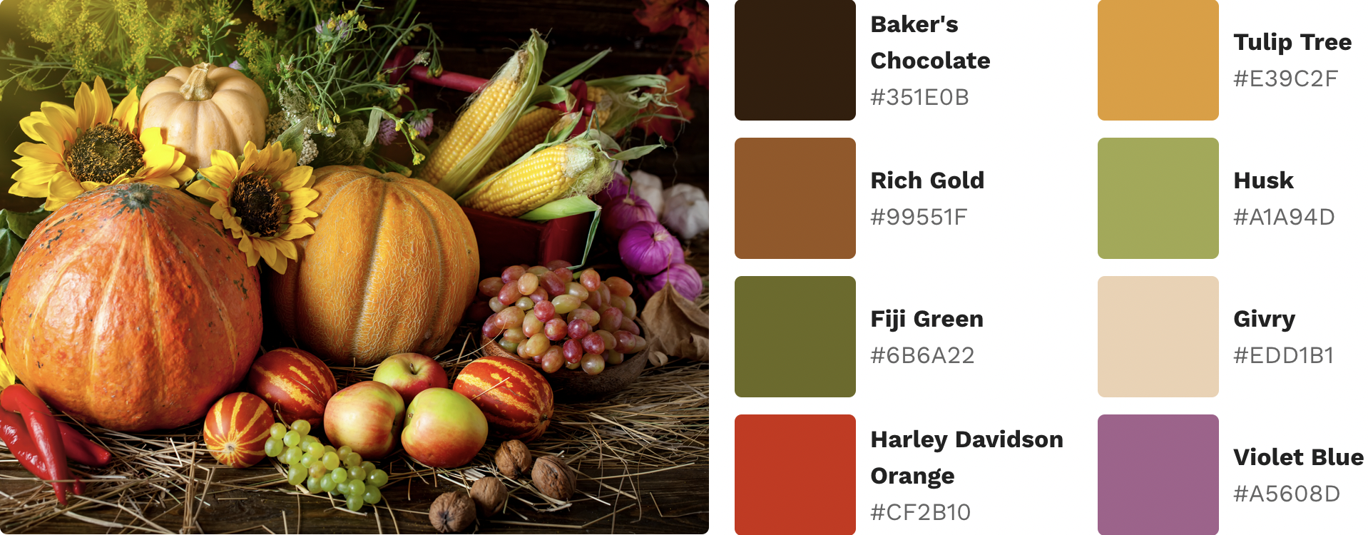 autumn color palette