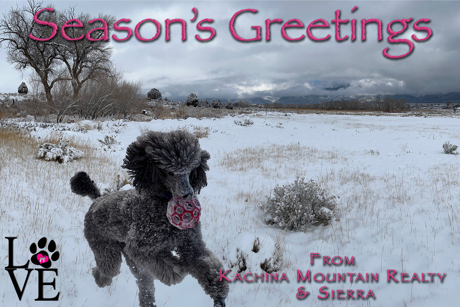 Season's Greetings