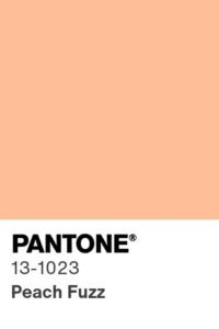 Pantone Peach Fuzz color of the year 2024