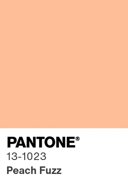 Pantone Peach Fuzz color of the year 2024